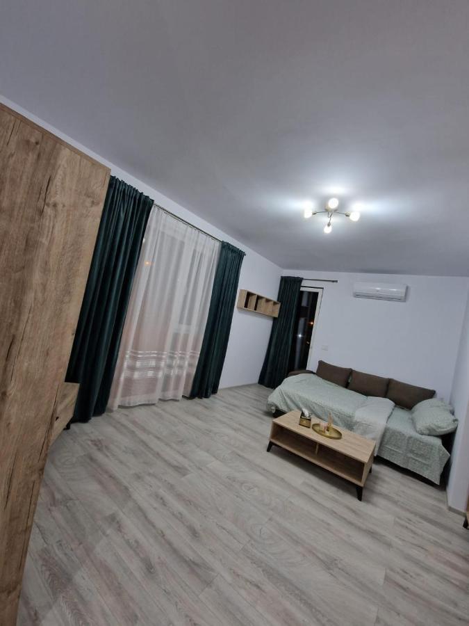 Apartament Modern Cu O Camera Leilighet Timişoara Eksteriør bilde