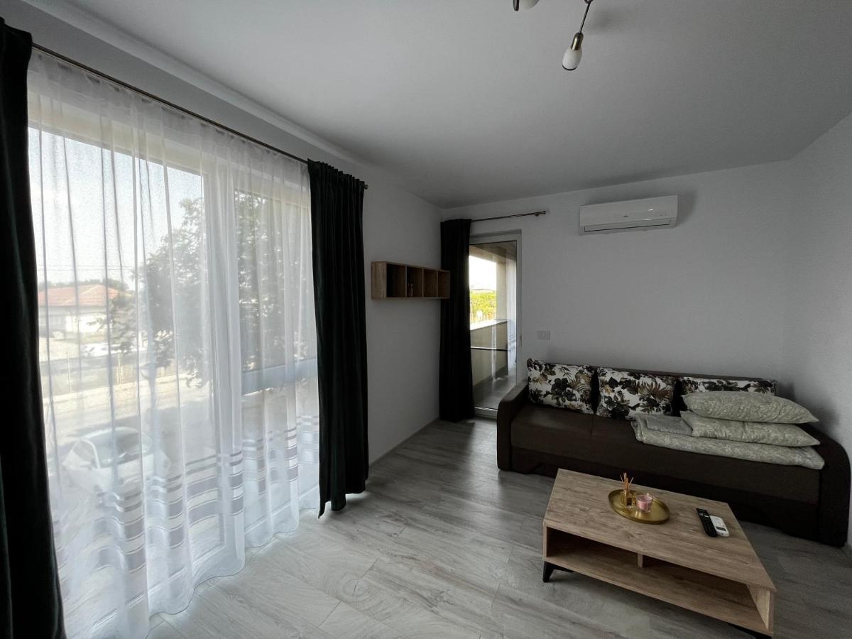 Apartament Modern Cu O Camera Leilighet Timişoara Eksteriør bilde